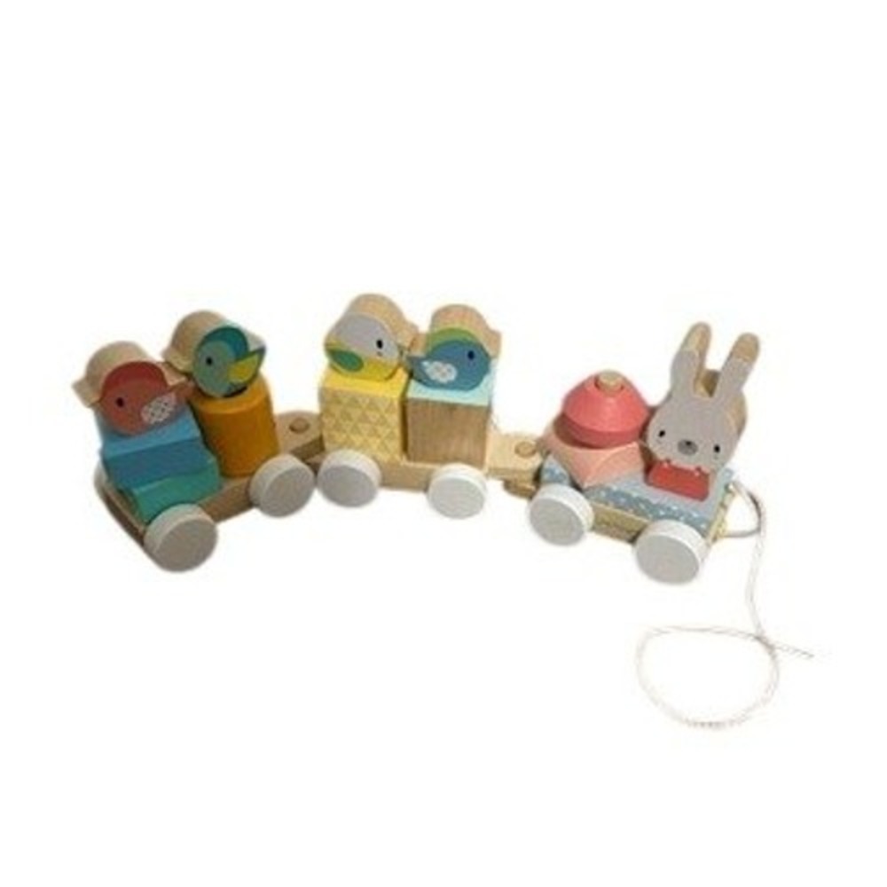 Janod Pure Pull-Along Train Kids One Size Multicolor New Wooden Stacking Toy